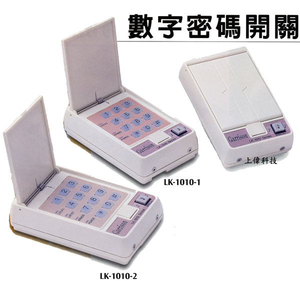 照片-2