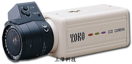 照片-2