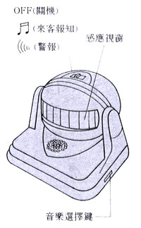 照片-2