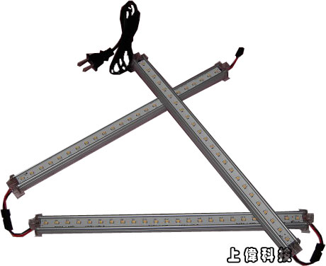 照片-1